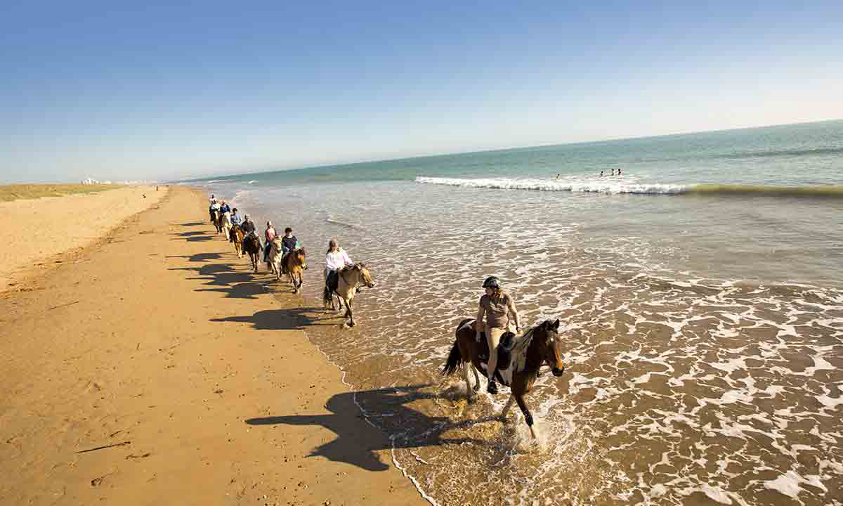 Campéole Pontaillac Plage Poitou-Charentes - Royan visuel 10/32 Campéole Pontaillac Plage Poitou-Charentes - Royan visuel 10/32
