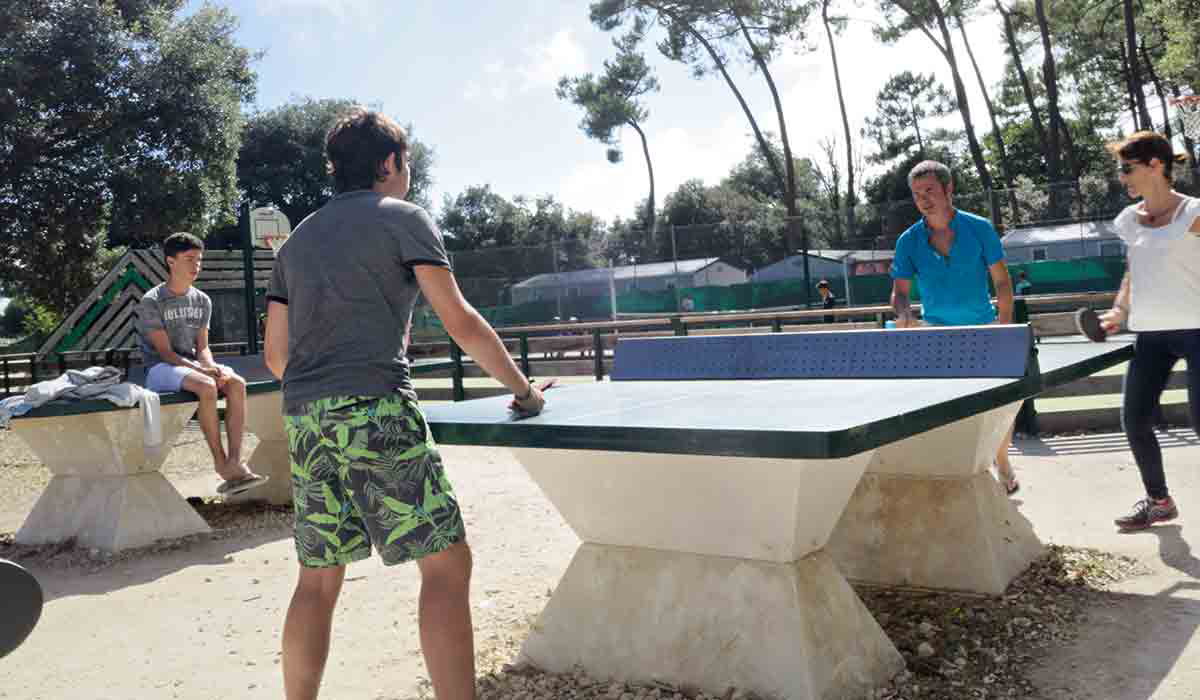 Le Logis Poitou-Charentes - Saint-Palais-sur-Mer visuel 17/24 Le Logis Poitou-Charentes - Saint-Palais-sur-Mer visuel 17/24