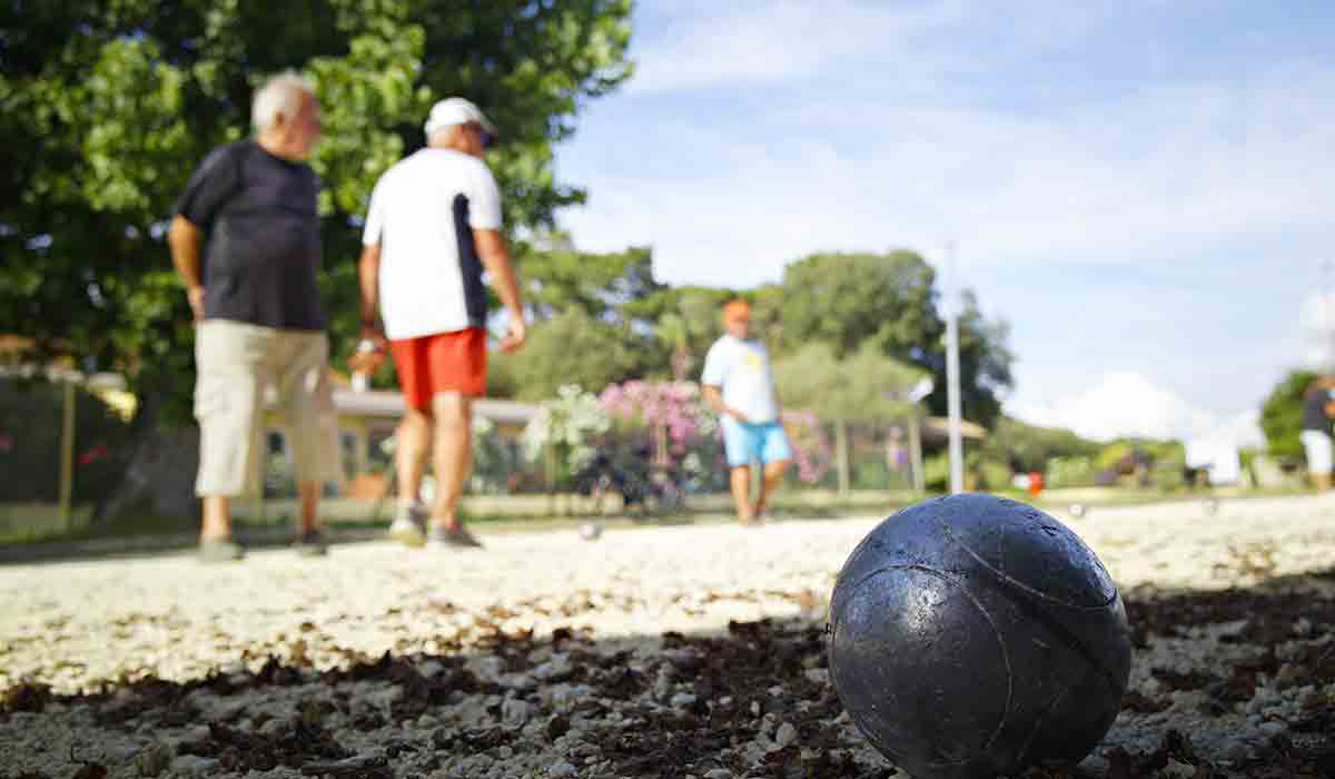 Le Logis Poitou-Charentes - Saint-Palais-sur-Mer visuel 11/24 Le Logis Poitou-Charentes - Saint-Palais-sur-Mer visuel 11/24