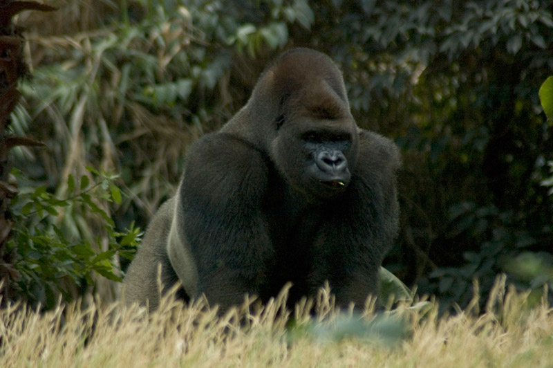 Les Etangs Mina Poitou-Charentes - Saint-Sornin visuel 11/11 Les Etangs Mina Poitou-Charentes - Saint-Sornin visuel 11/11