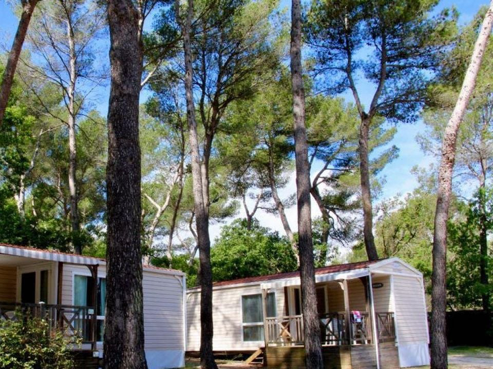 Le Devancon Provence-Alpes-Côte d'Azur - Peynier visuel 7/9 Le Devancon Provence-Alpes-Côte d'Azur - Peynier visuel 7/9