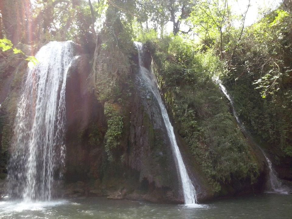 Le Devancon Provence-Alpes-Côte d'Azur - Peynier visuel 9/9 Le Devancon Provence-Alpes-Côte d'Azur - Peynier visuel 9/9