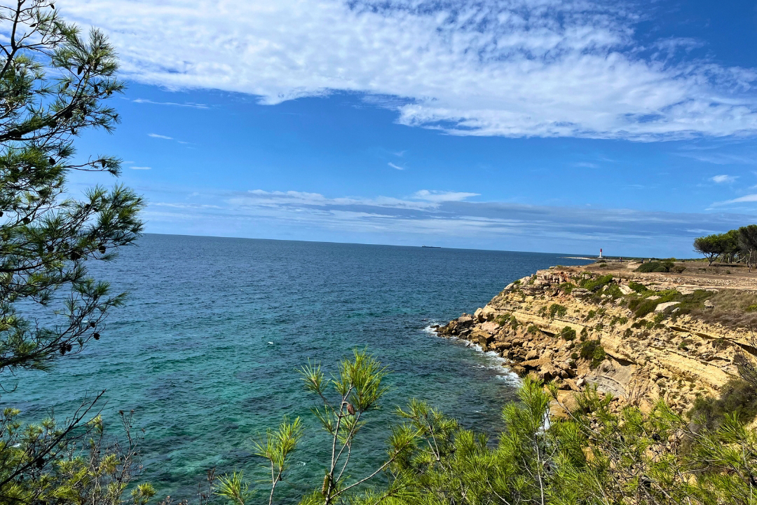 Les Tamaris Provence-Alpes-Côte d'Azur - Martigues visuel 3/15 Les Tamaris Provence-Alpes-Côte d'Azur - Martigues visuel 3/15