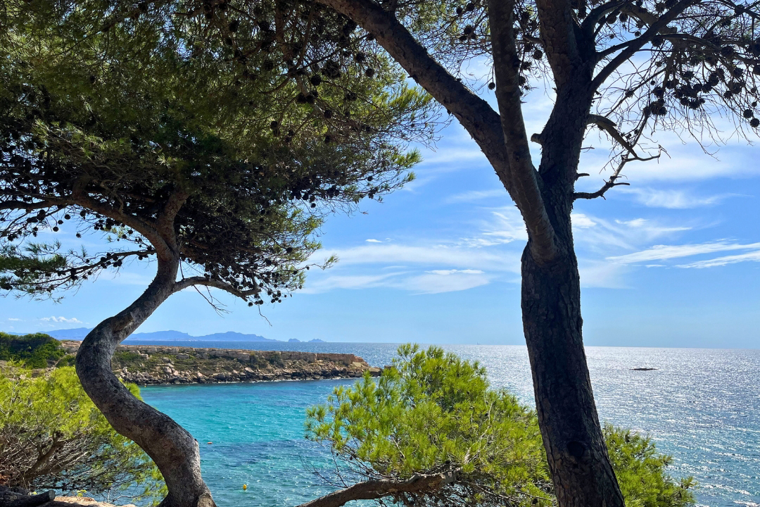 Les Tamaris Provence-Alpes-Côte d'Azur - Martigues visuel 12/15 Les Tamaris Provence-Alpes-Côte d'Azur - Martigues visuel 12/15