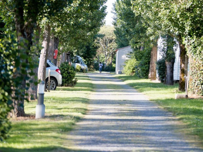 Camping - La Mothe-Achard - Pays de Loire - Le Pavillon - Image #8