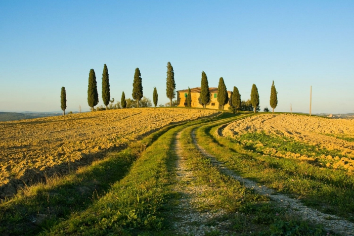 Camping - Cavriglia - Toscane - Orlando in Chianti - Image #5