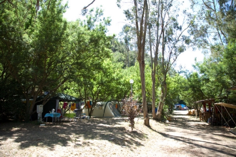 Camping - Isolabona - Ligurië - delle Rose - Image #2