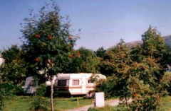 Mont-Dore - 2 - campings