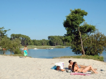 Camping - Sanguinet - Aquitaine - Le Lou Broustaricq - Image #9