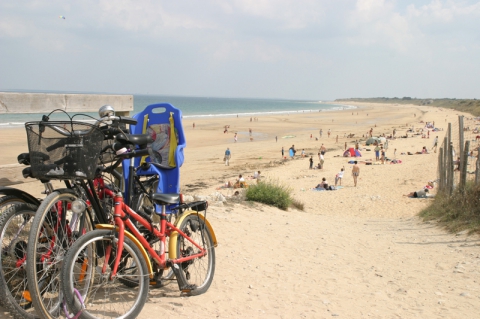 Camping - Rivedoux-Plage - Poitou-Charentes - Les Fougères - Image #10