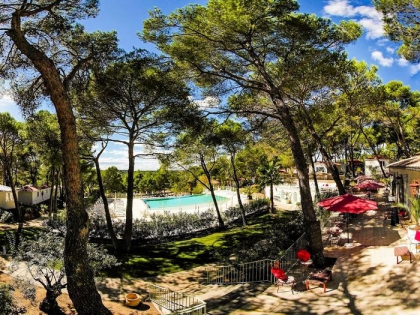 Camping - Castelnau-de-Guers - Languedoc-Roussillon - résidentiel la Pinède - Image #9