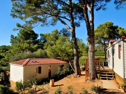 Camping - Castelnau-de-Guers - Languedoc-Roussillon - résidentiel la Pinède - Image #7