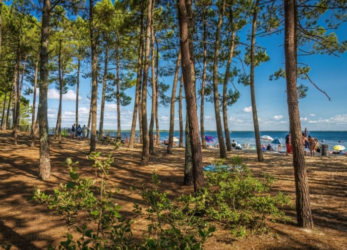 Camping - Hourtin - Aquitaine - L'Orée du Bois - Image #28